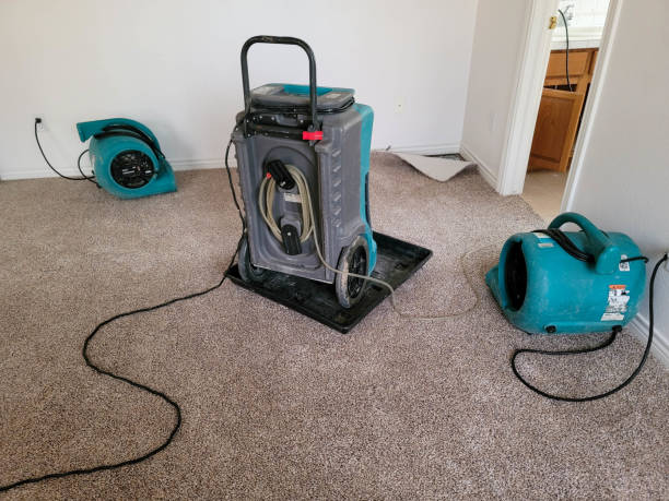 Best Carpet water damage restoration  in Centerville, OH