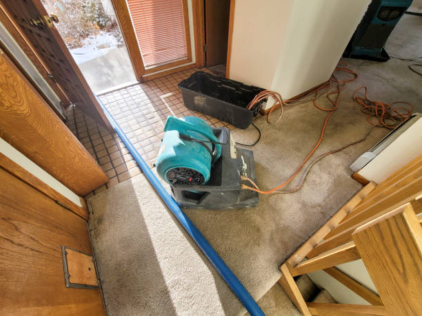 Best Mold removal after water damage  in Centerville, OH