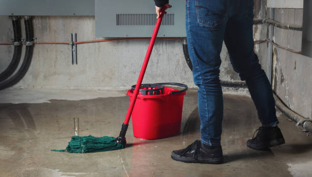 Best Water damage contractors near me  in Centerville, OH